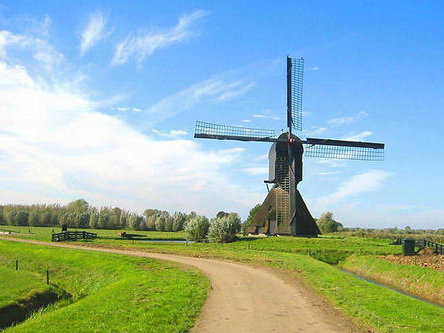 牡丹江宁安：景观农业给农民带来二次收入