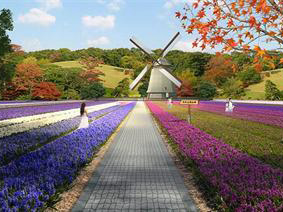 景观式风车不仅仅只是风景