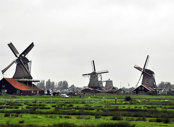 荷兰最具特色的景观：风车村、羊角村